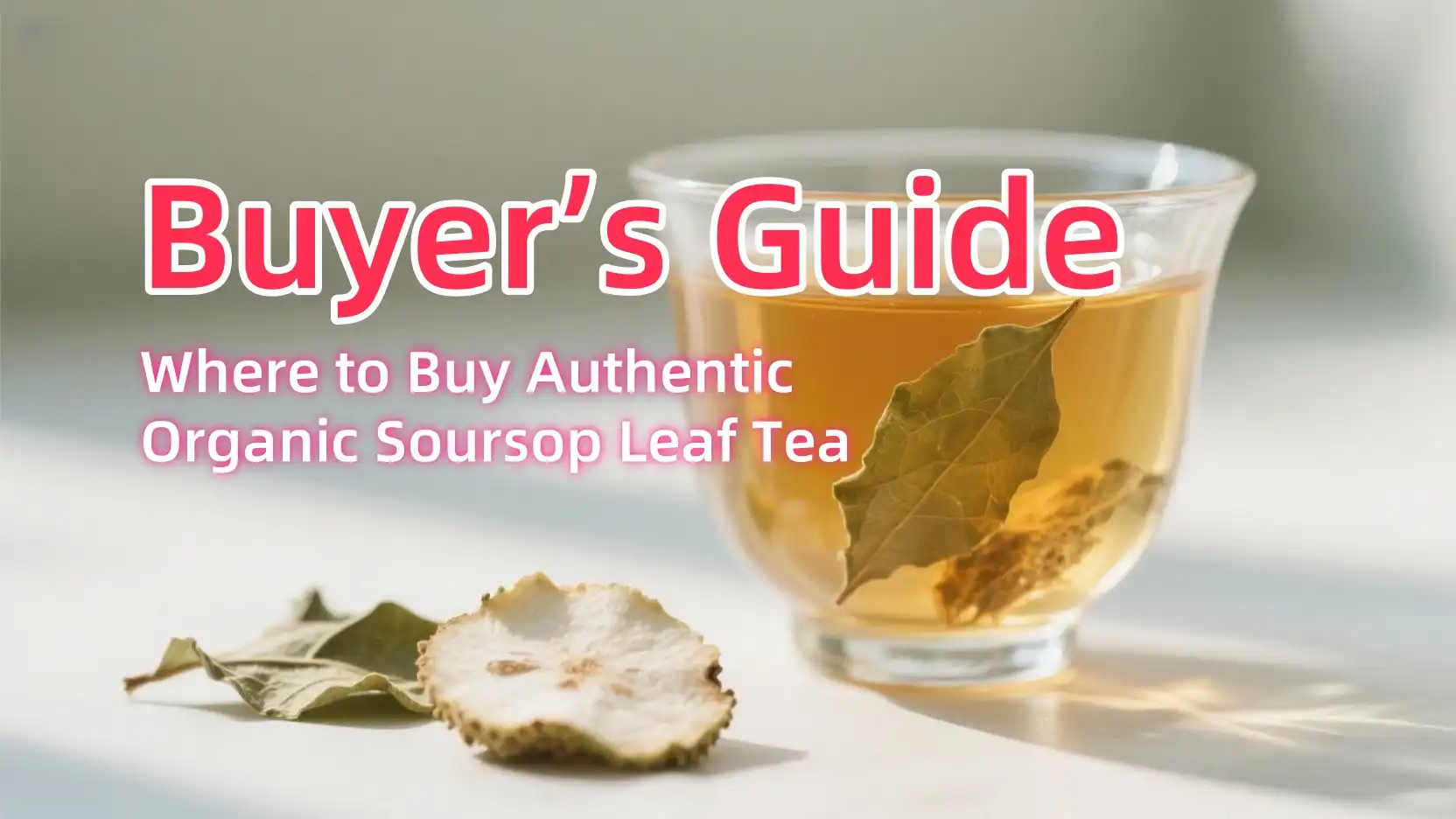Where to Buy Authentic Organic Soursop Leaf Tea: Buyer’s Guide